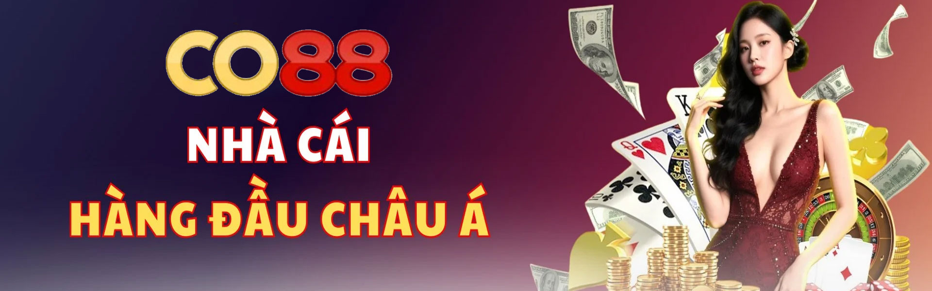 baner-co88