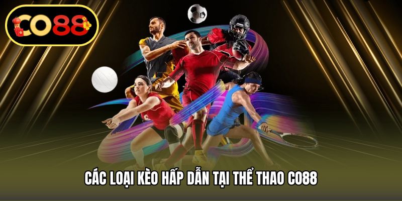 Các loại kèo hấp dẫn tại thể thao CO88