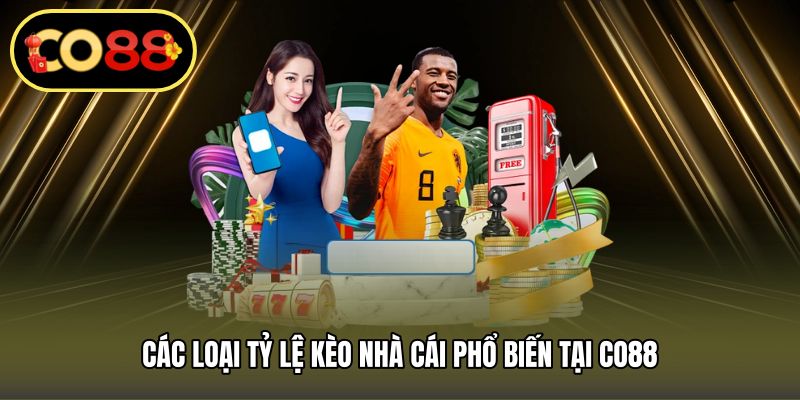 Các loại tỷ lệ kèo nhà cái phổ biến tại CO88