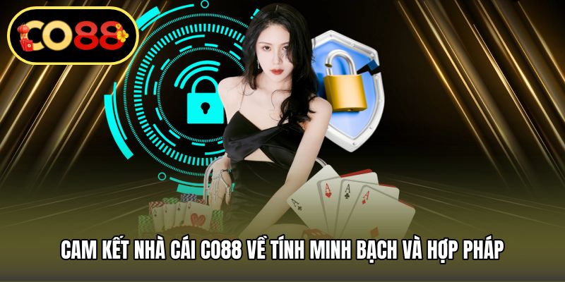 Cam kết nhà cái CO88 về tính minh bạch và hợp pháp
