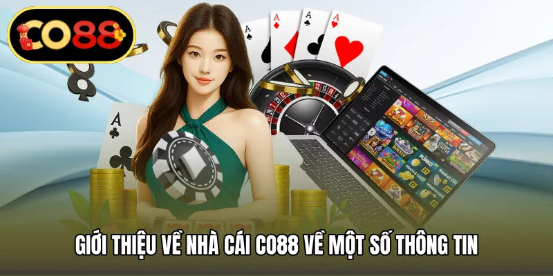 Giới thiệu về nhà cái CO88 về một số thông tin