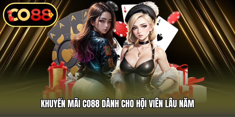 Khuyến mãi CO88 dành cho hội viên lâu năm