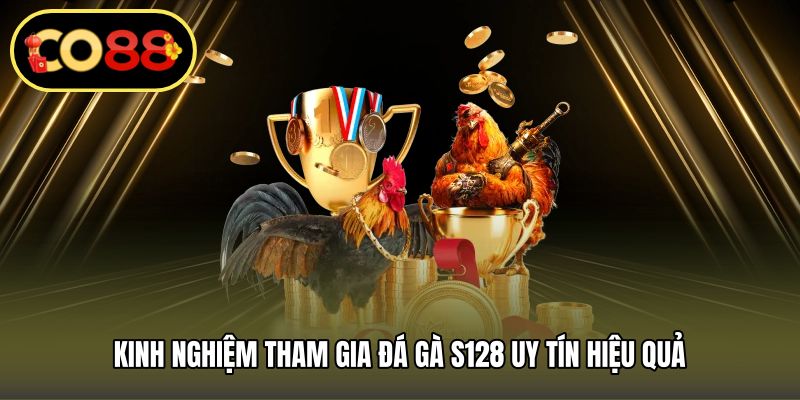 Kinh nghiệm tham gia đá gà S128 uy tín hiệu quả