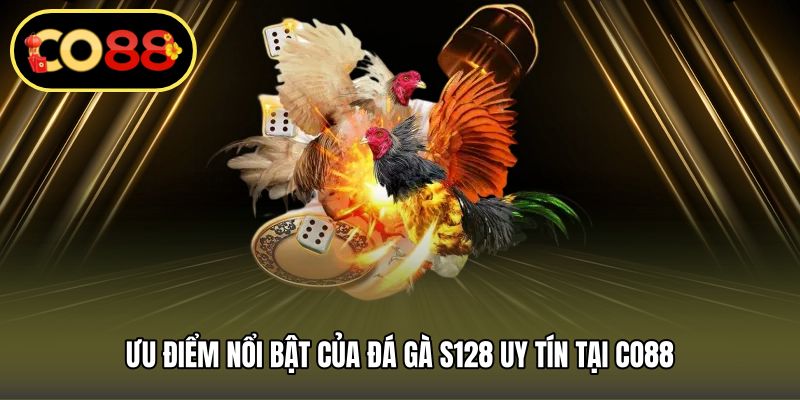 Ưu điểm nổi bật của đá gà S128 uy tín tại CO88